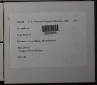 Image Associated With the Occurence